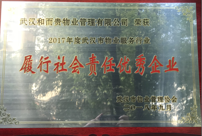 &#38647;&#36895;&#45;&#38647;&#36895;&#65288;&#20013;&#22269;&#65289;