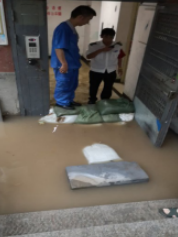&#38647;&#36895;&#45;&#38647;&#36895;&#65288;&#20013;&#22269;&#65289;