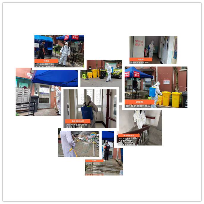 &#38647;&#36895;&#45;&#38647;&#36895;&#65288;&#20013;&#22269;&#65289;