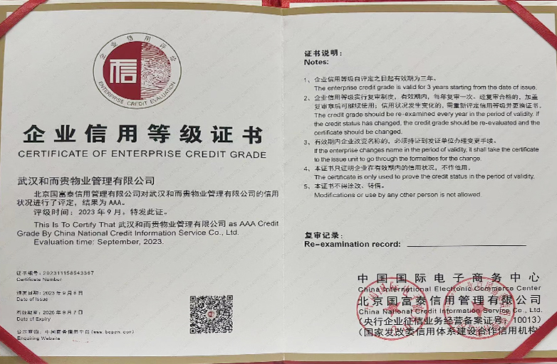 &#38647;&#36895;&#45;&#38647;&#36895;&#65288;&#20013;&#22269;&#65289;