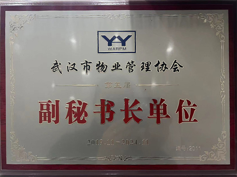 &#38647;&#36895;&#45;&#38647;&#36895;&#65288;&#20013;&#22269;&#65289;
